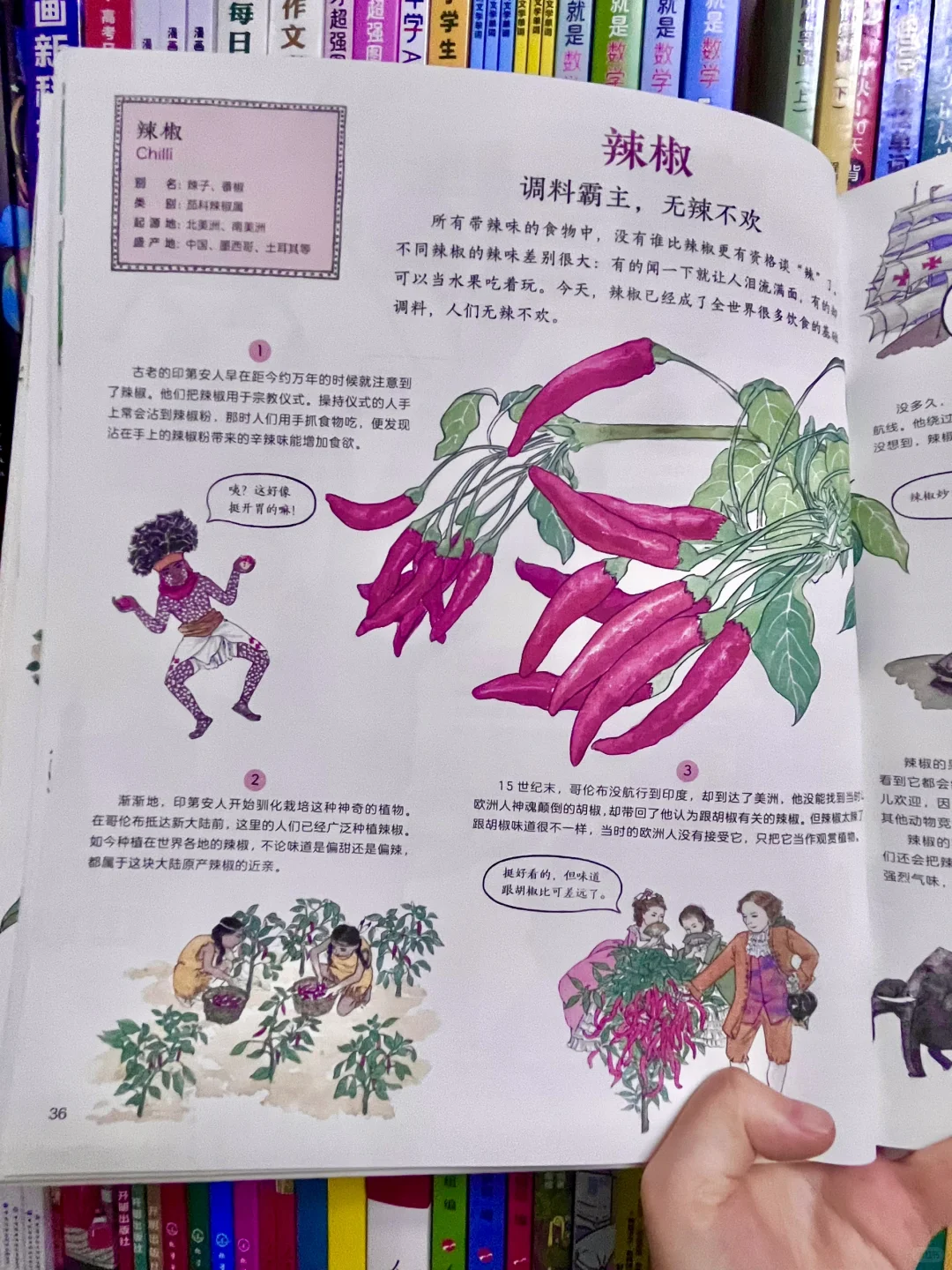 咋办呀！我真的沉醉在这绘本里了！命根子书！！