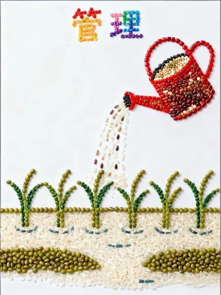 挑战五谷杂粮拼贴画596天|第45个世界粮食日