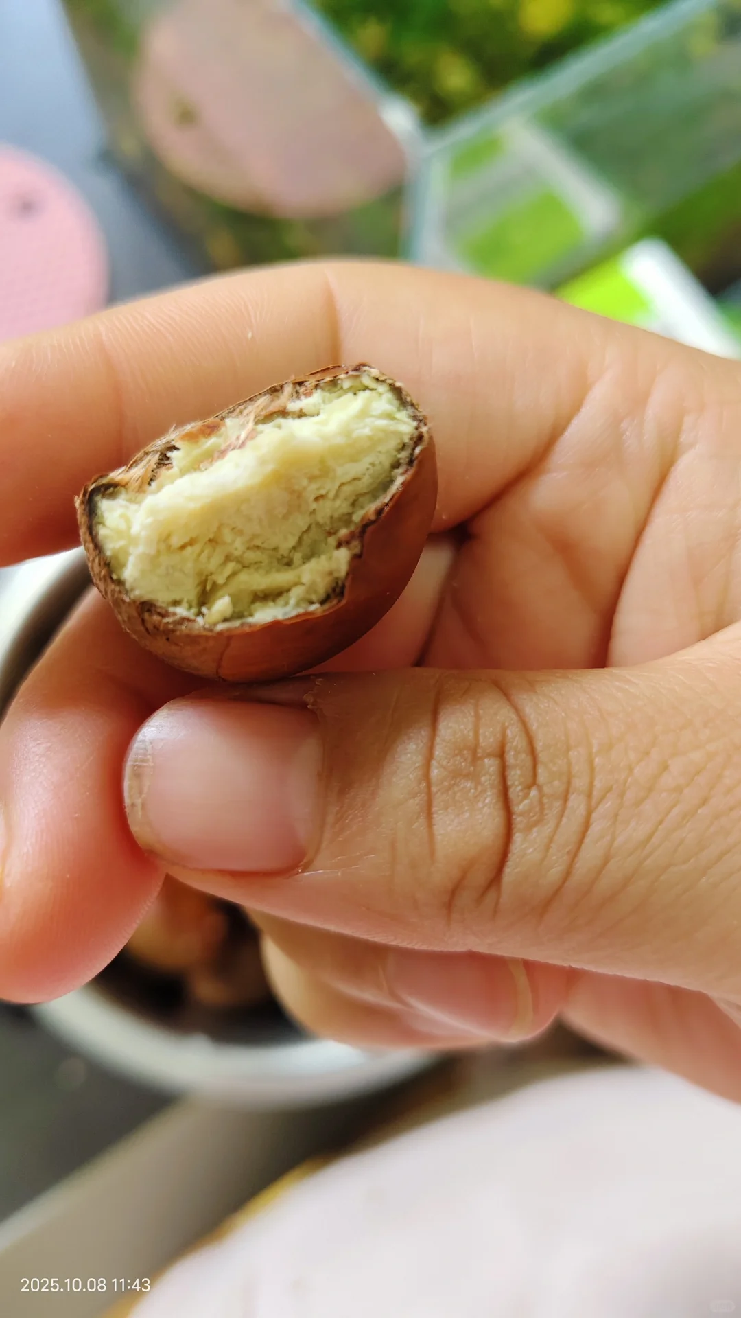 那些避雷丹东板栗的你出来。