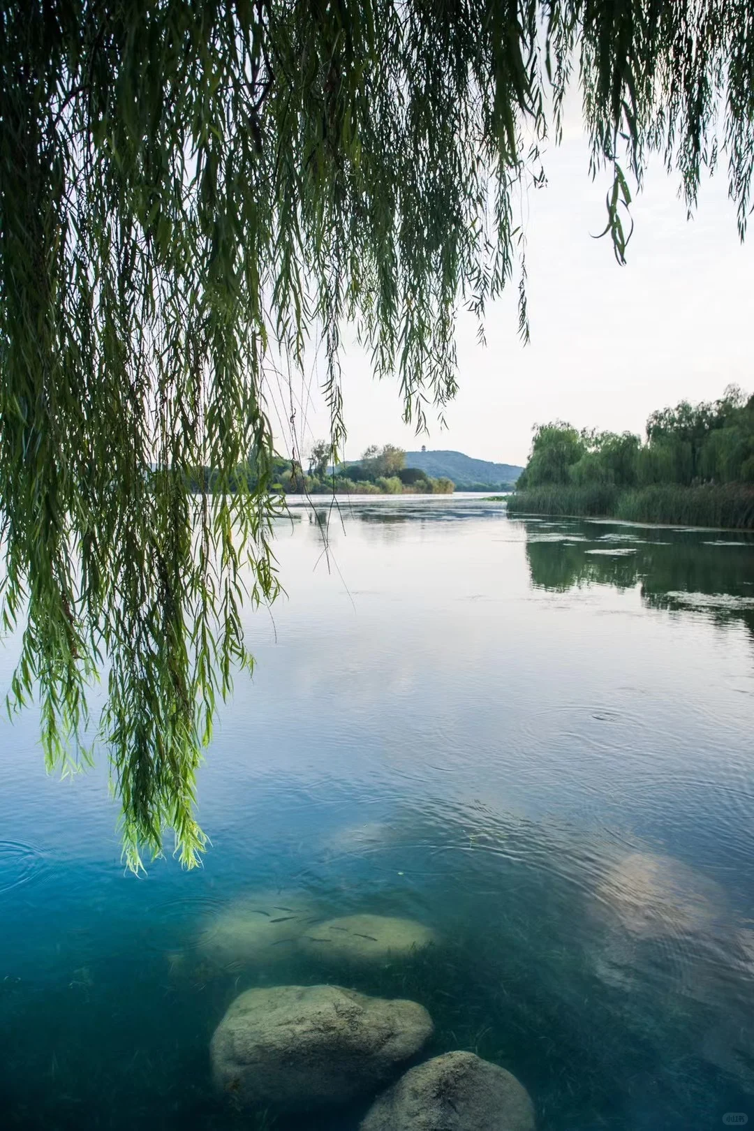 水生态修复美图