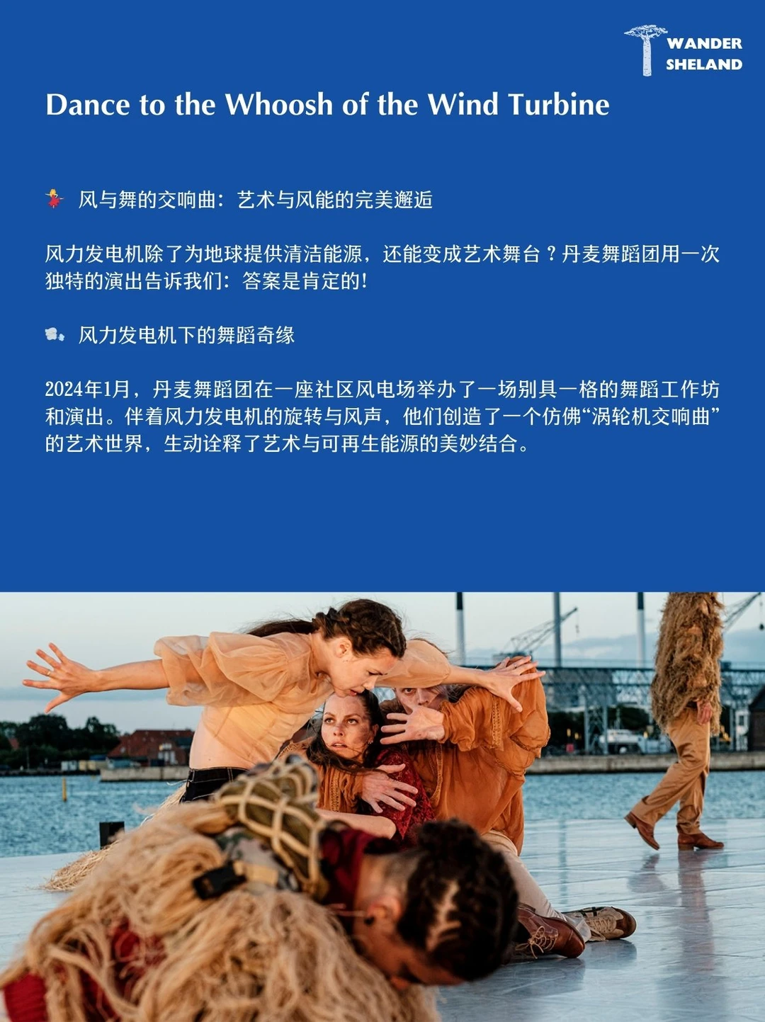 国际清洁能源日|有关可再生能源的7件趣事