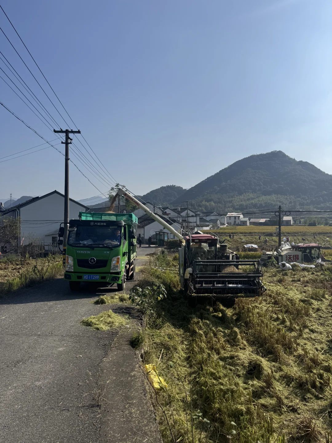 浙江的农村也是越来越好了