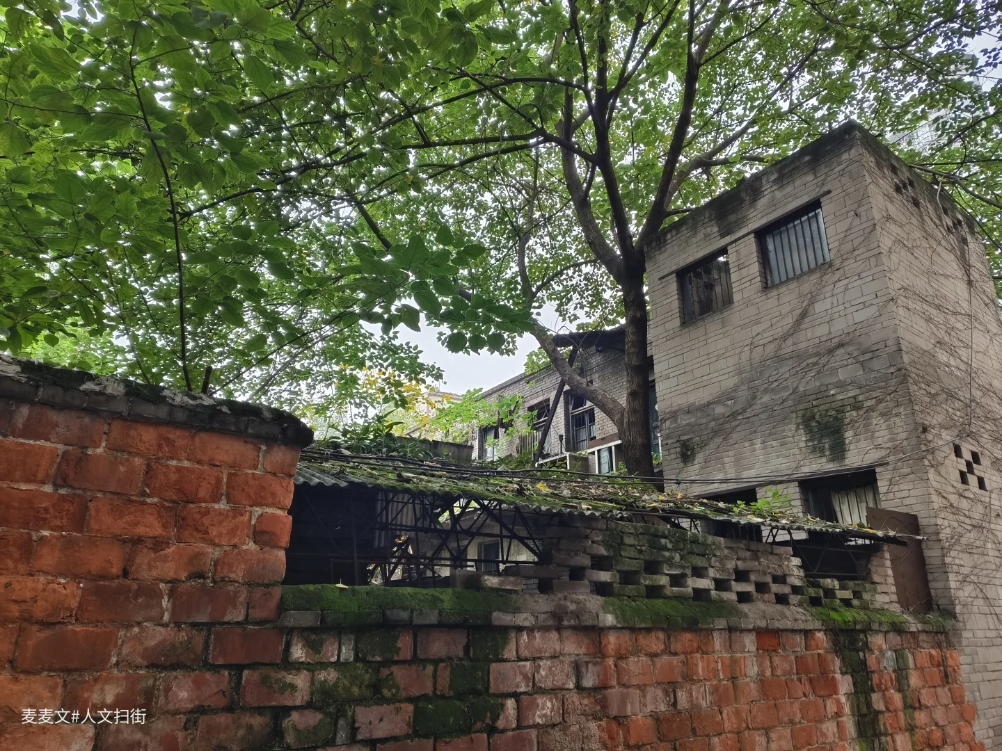 【江津】茶叶机械厂从热闹车间到寂静空院