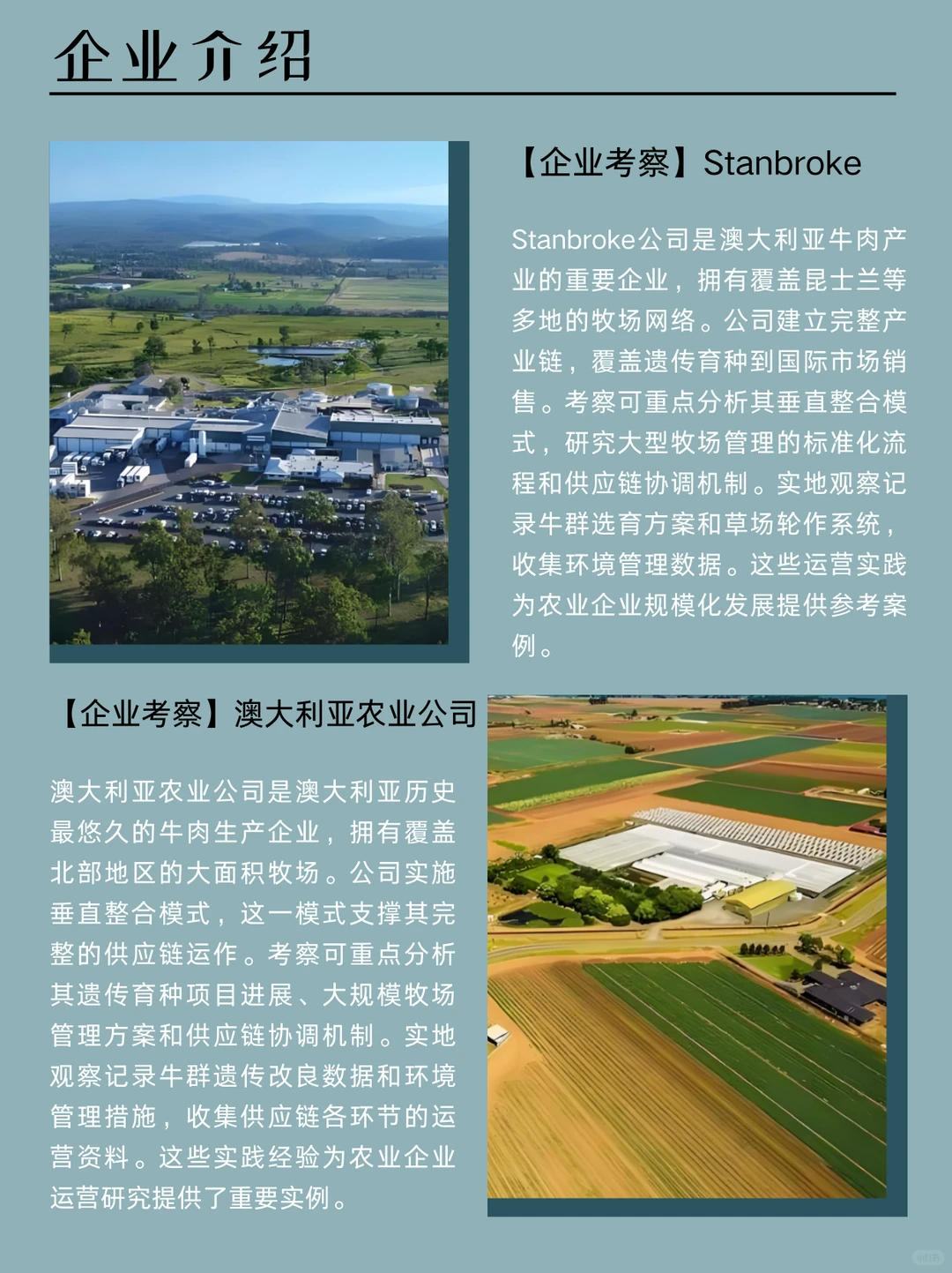 澳洲标杆牧業：百年传承与科技养殖融和