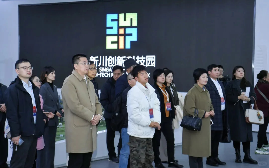 成都新川2025年11月大事件全播报