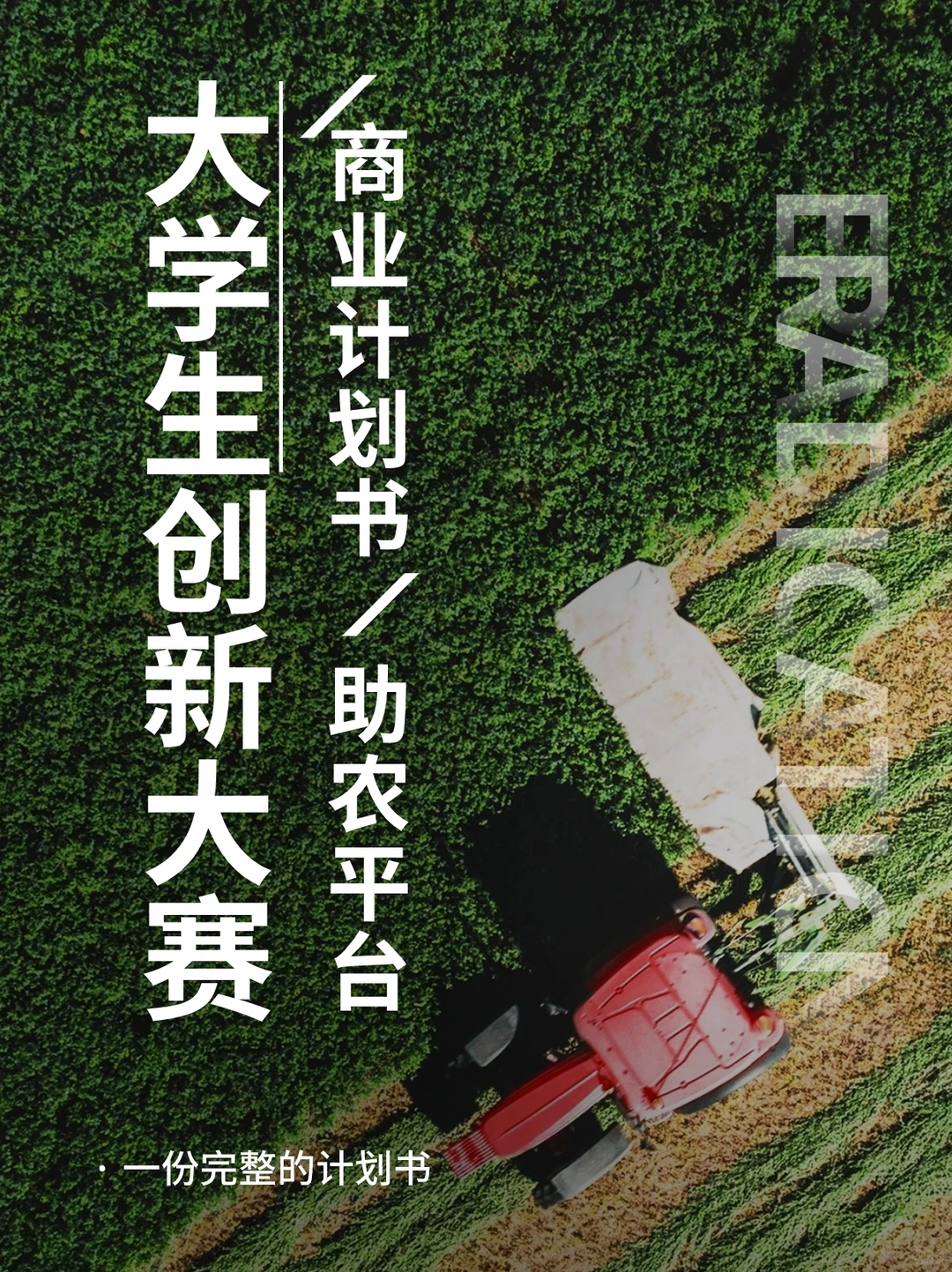 重新吃一口计划书，打造绿色健康农产品平台