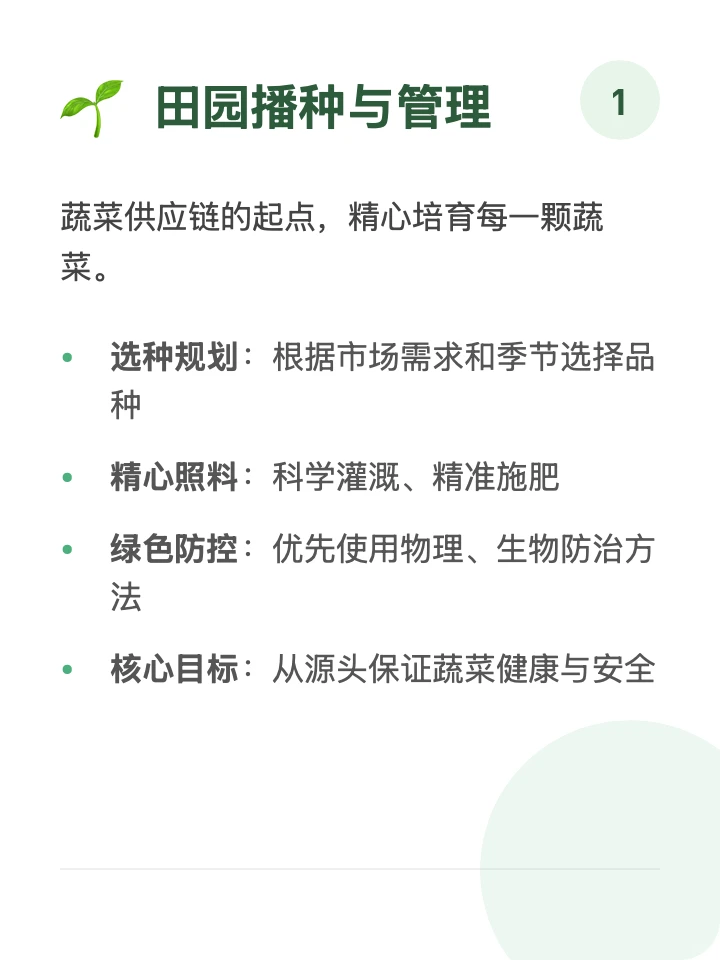 每天一条供应链「蔬菜」?