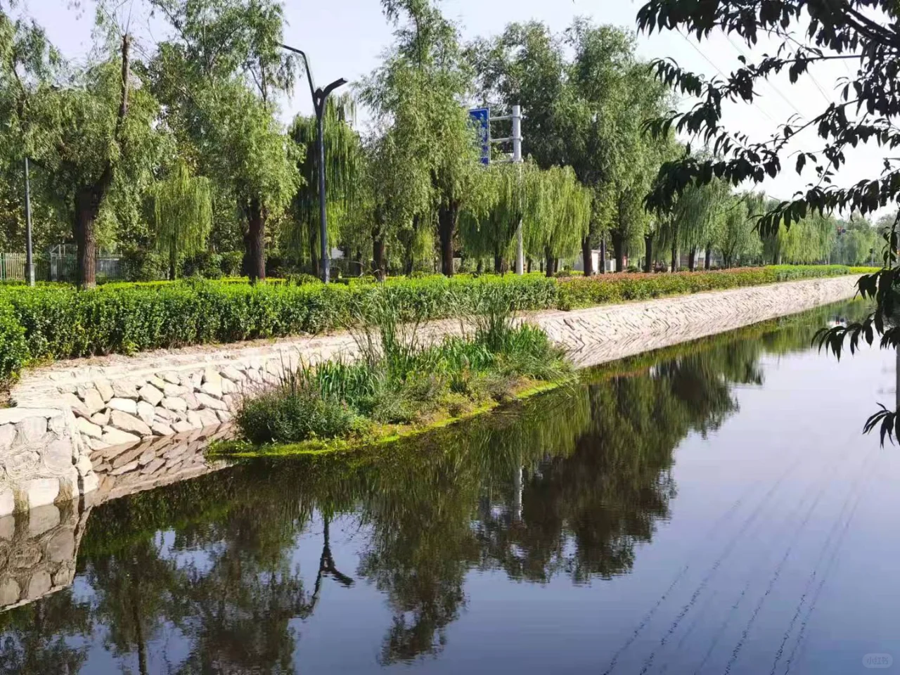 浮动湿地，让水质净化与生态美化同步实现