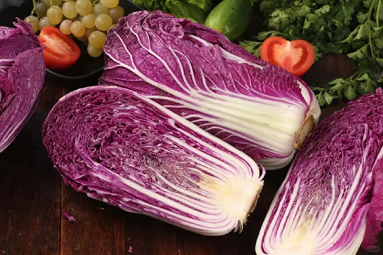 可食用景观植物产业