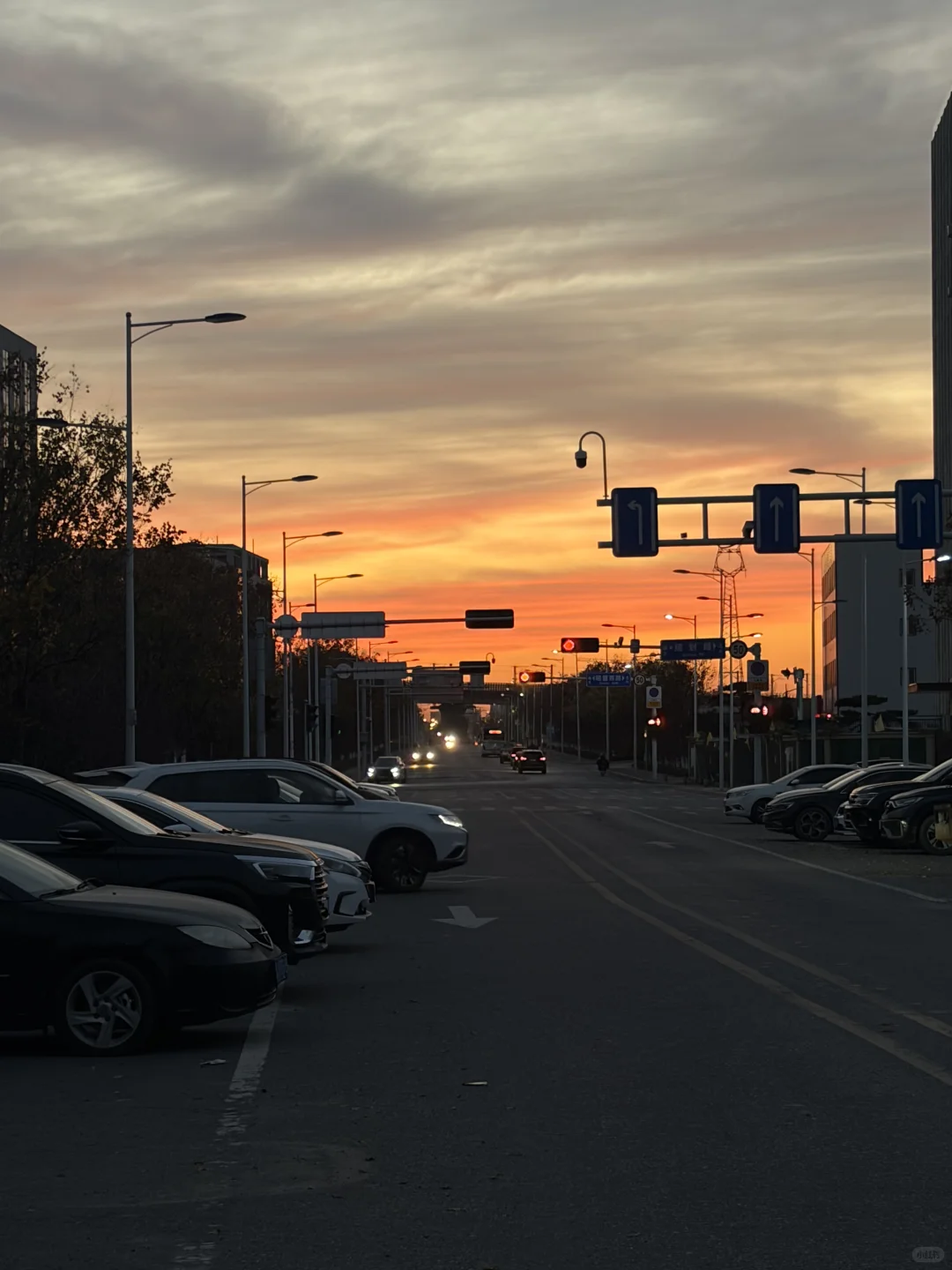 蹲出口玻璃建材的贸易公司&国际友人