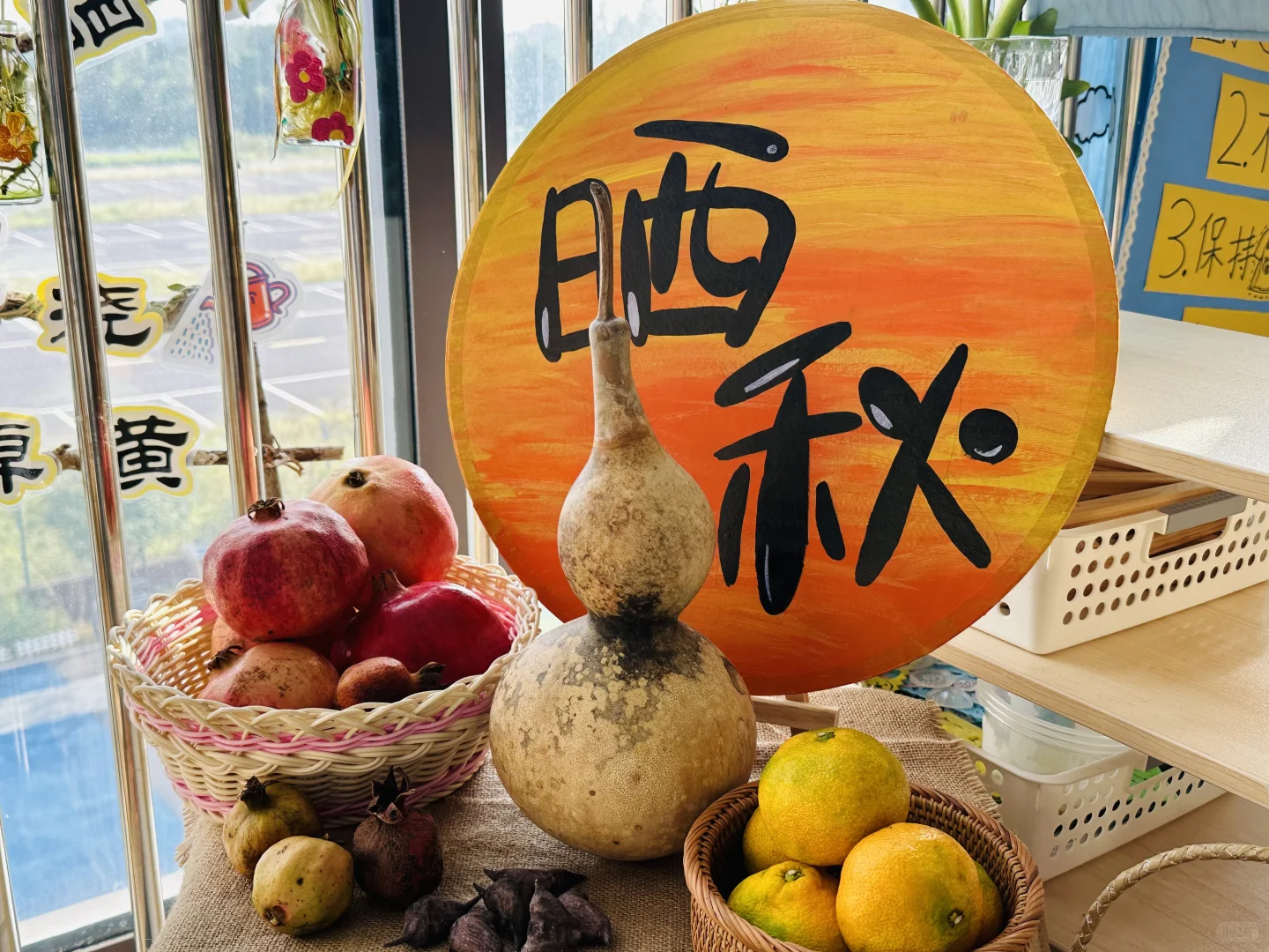 幼儿园秋季植物角——晒秋、秋收冬藏