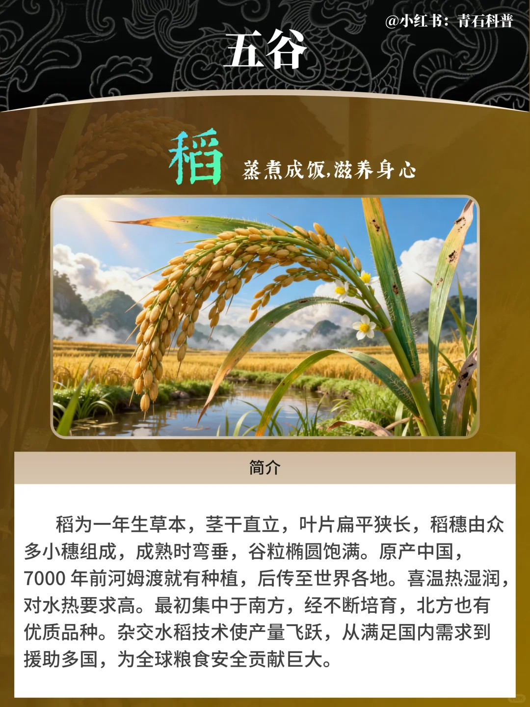 五谷，都包含哪五谷？