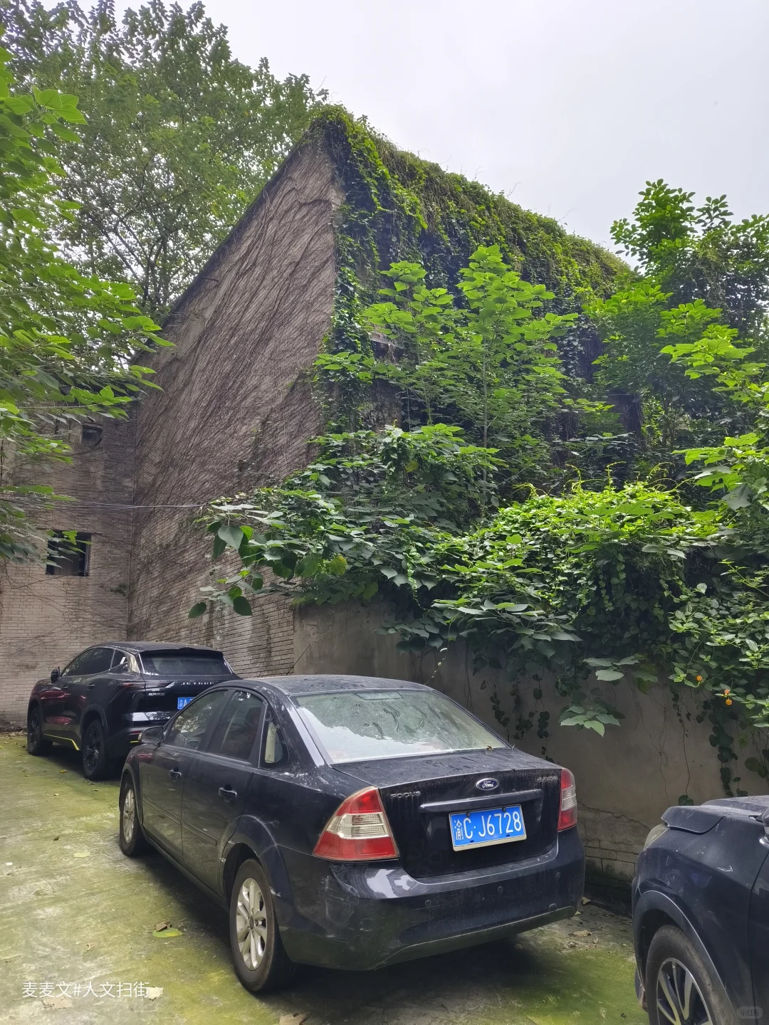 【江津】茶叶机械厂从热闹车间到寂静空院