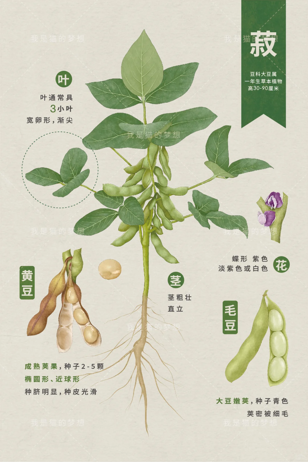 五谷来袭之【稻】【黍】【稷】【麦】【菽】（已独家）