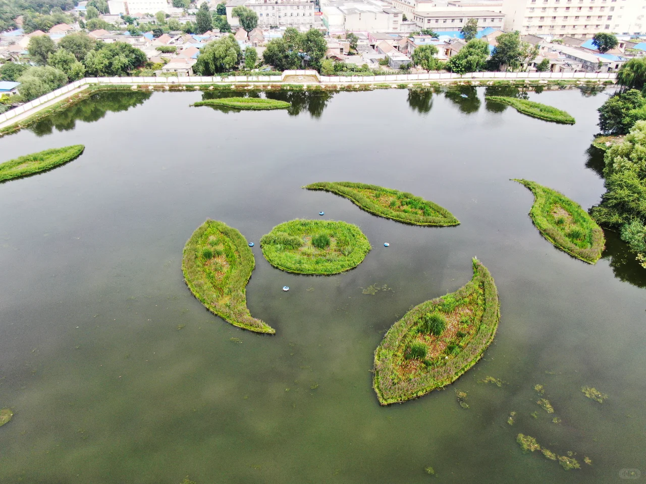 浮动湿地，让水质净化与生态美化同步实现