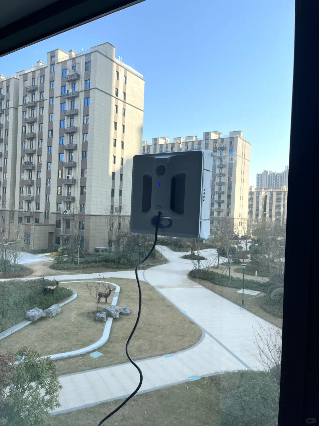 关于我买了个擦窗机器人,邻居都来找我租…