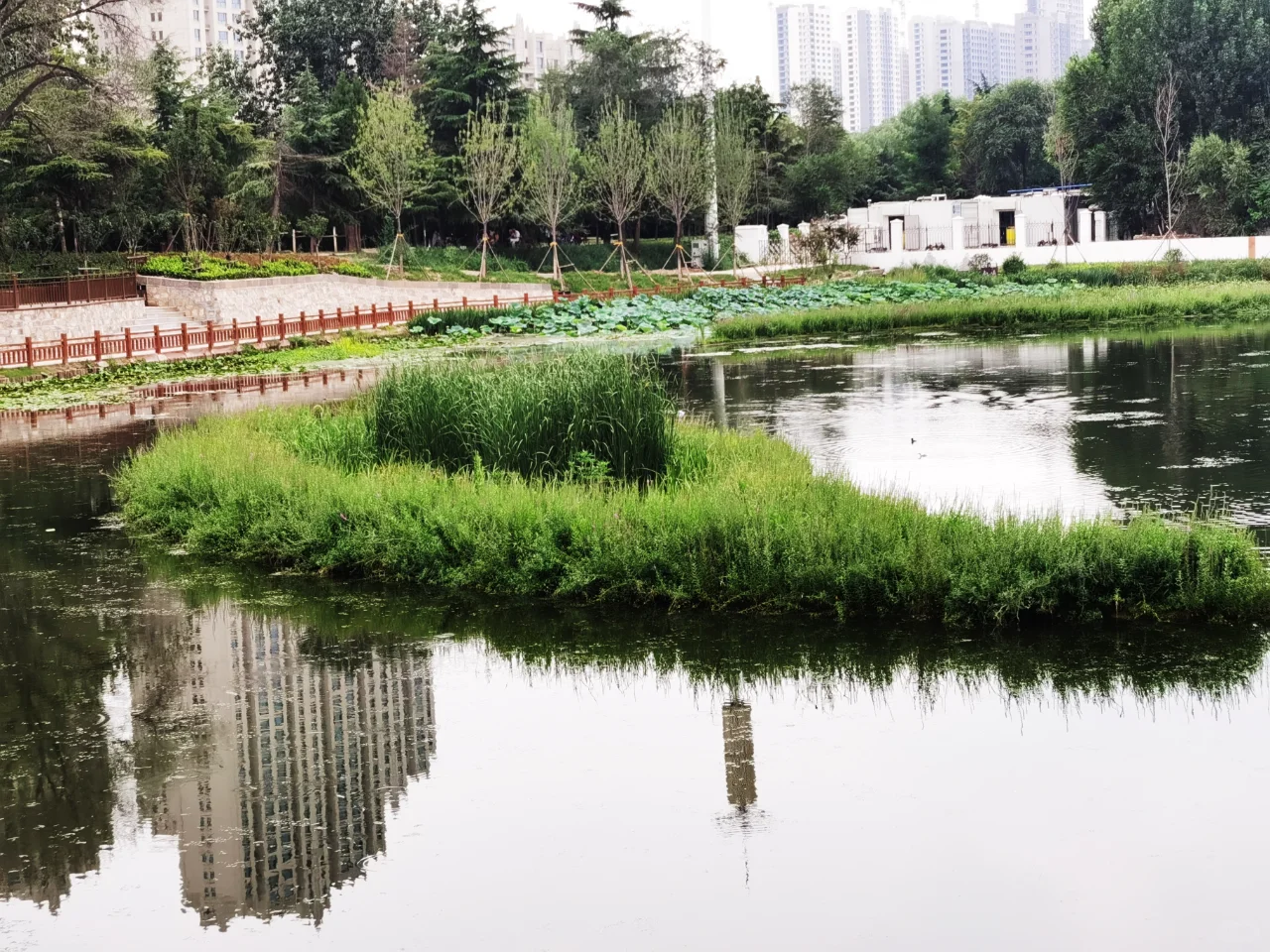 浮动湿地，让水质净化与生态美化同步实现