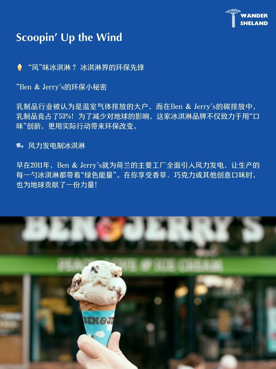 国际清洁能源日|有关可再生能源的7件趣事