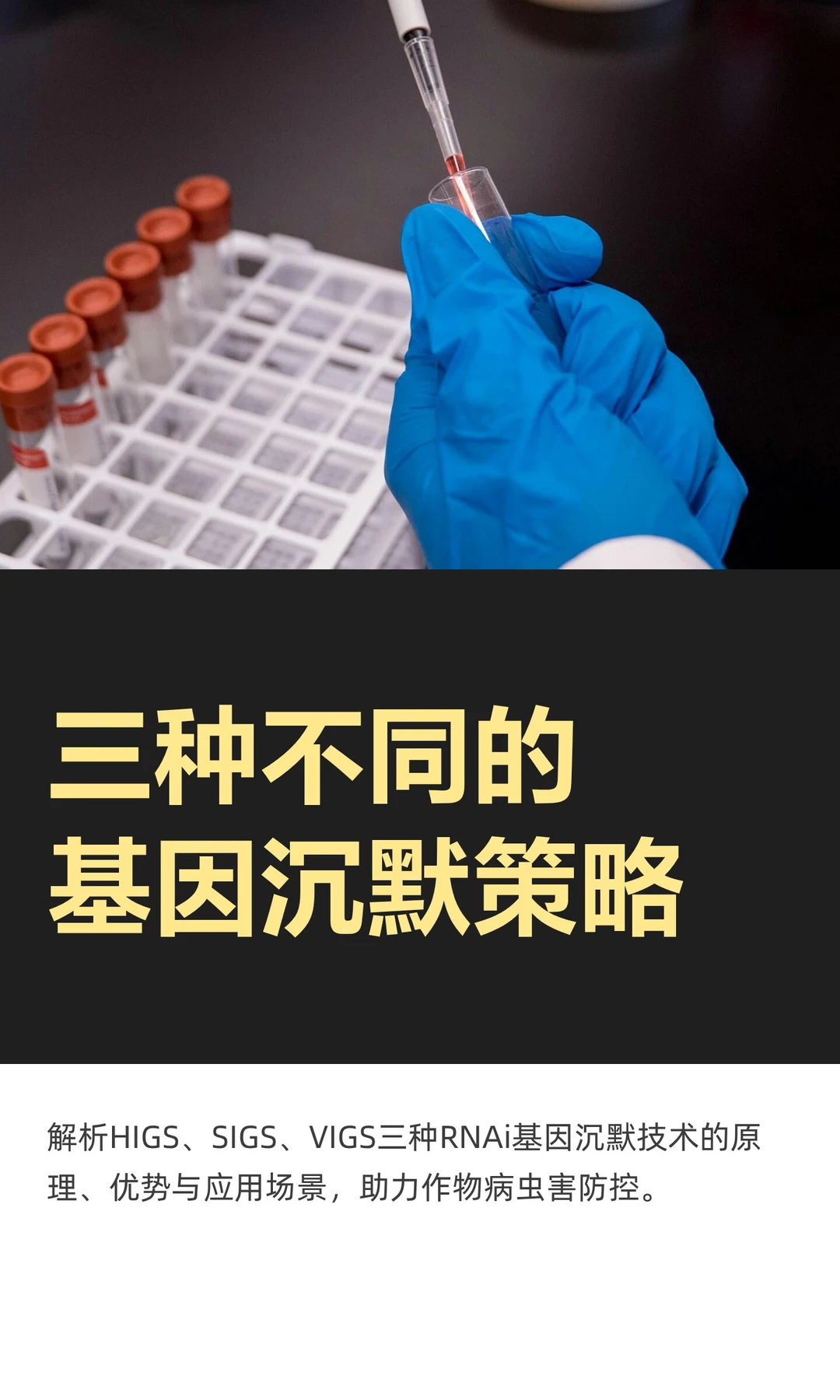RNAi 技术 | 三种不同的基因沉默策略