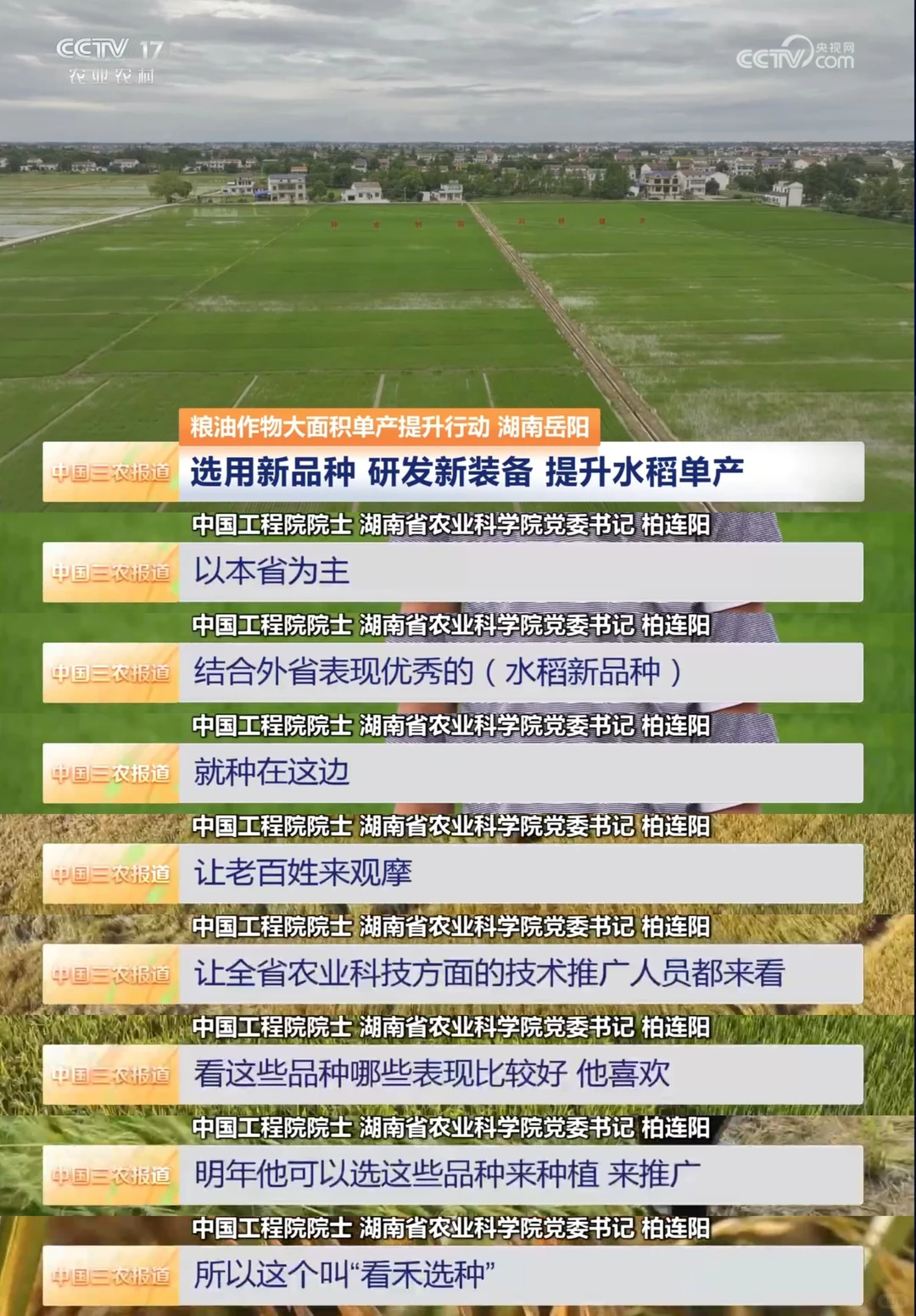 2025年8月1日农业新闻摘录。