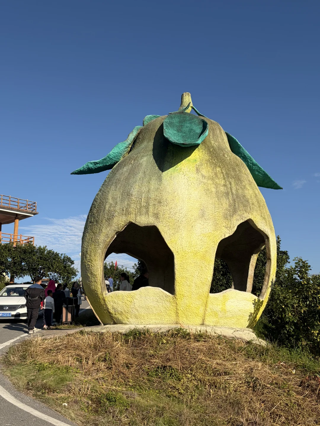 爱吃柚子的姐妹看过来，正宗江永香柚