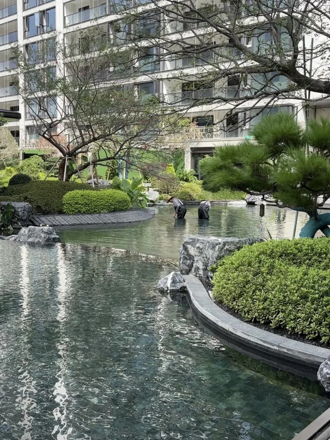 水系园林怎么打理啊