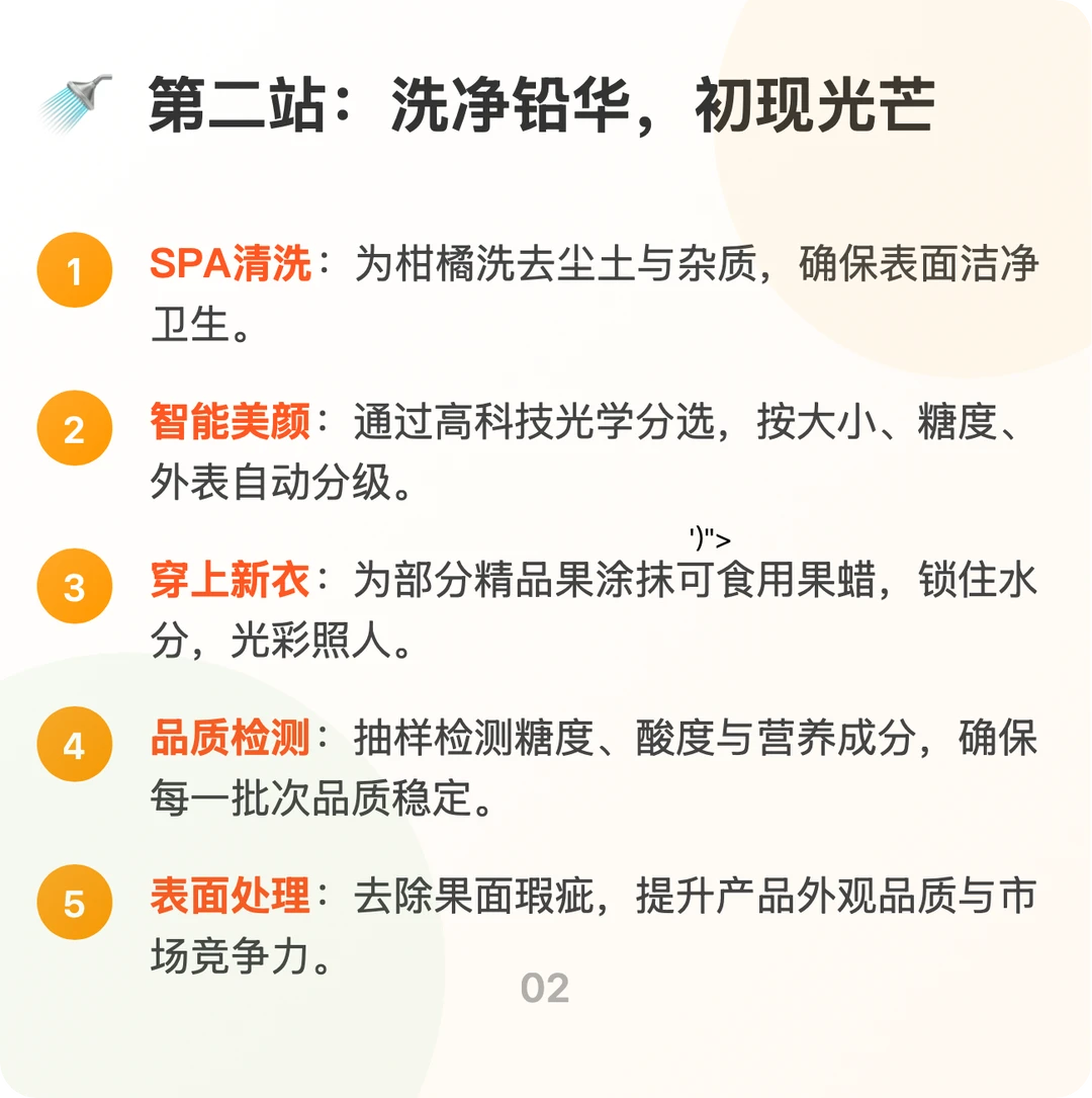 每天吃透一条产业链「柑橘」?