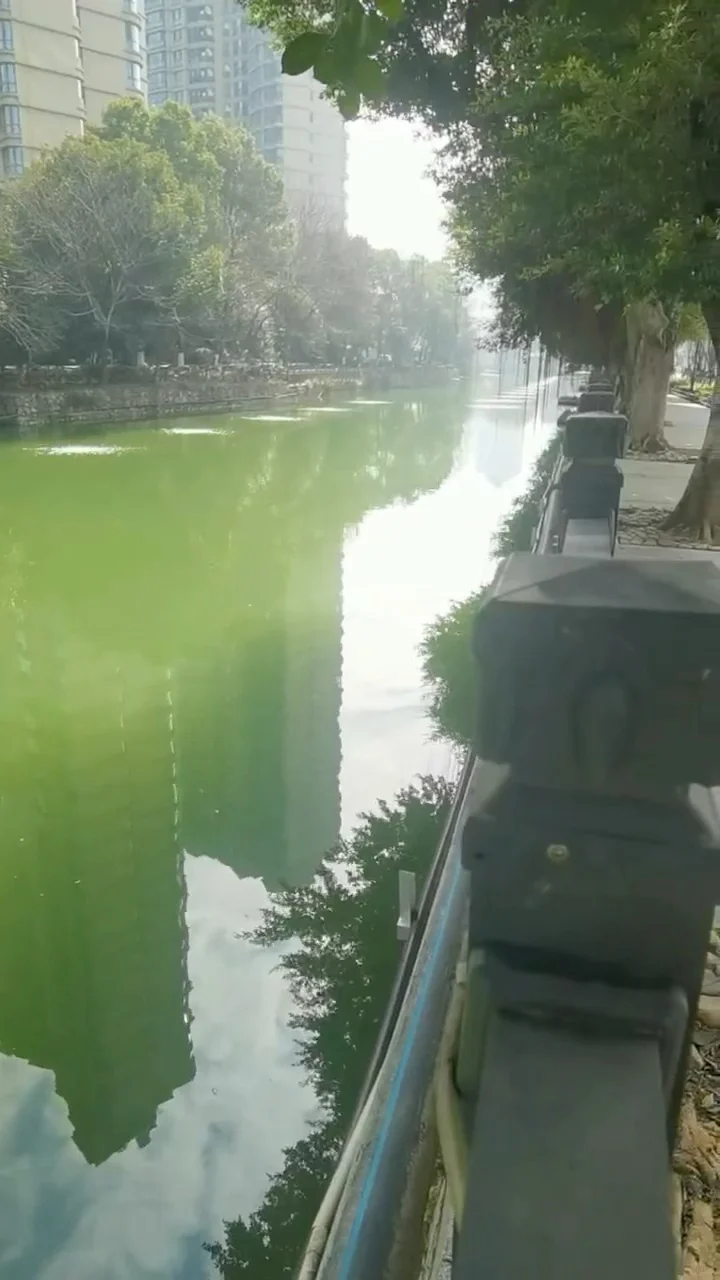 河道“闹脾气”？一键开启水质“救星”模式✨