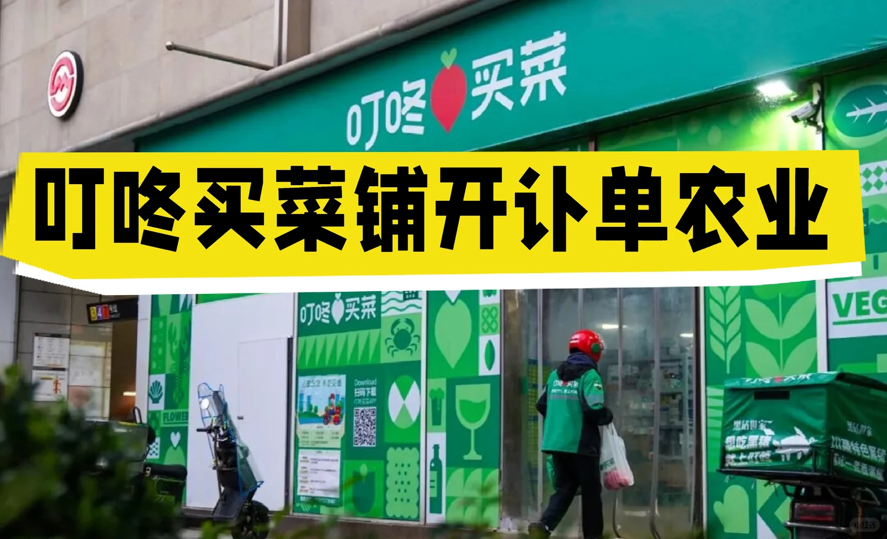 叮咚买菜铺开订单农业