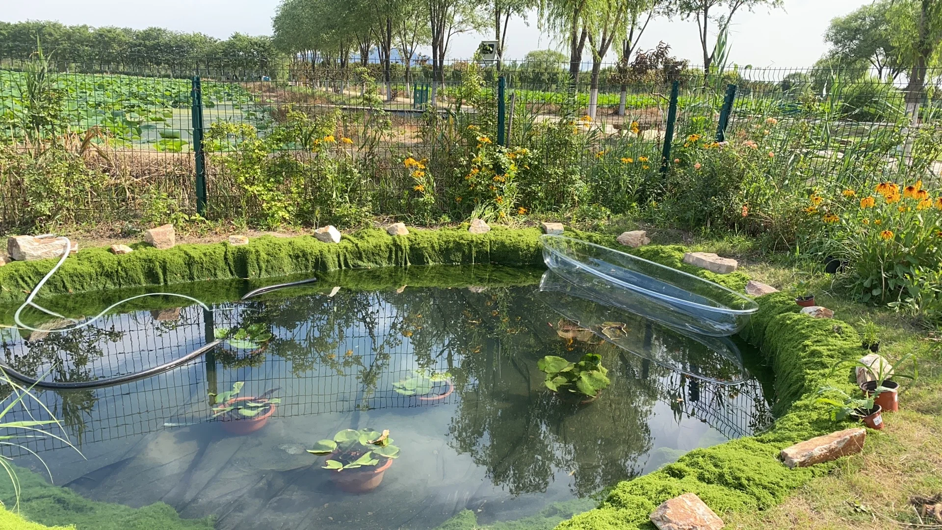 右划看臭水沟变身梦幻仙境