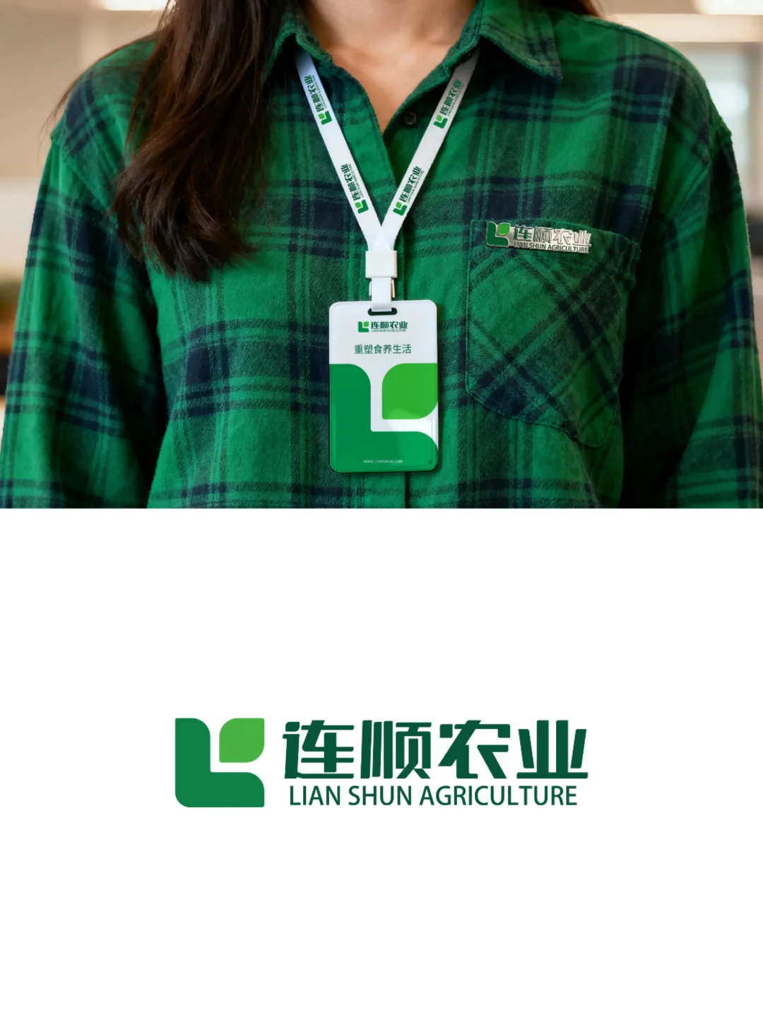 张家口连顺农业品牌设计