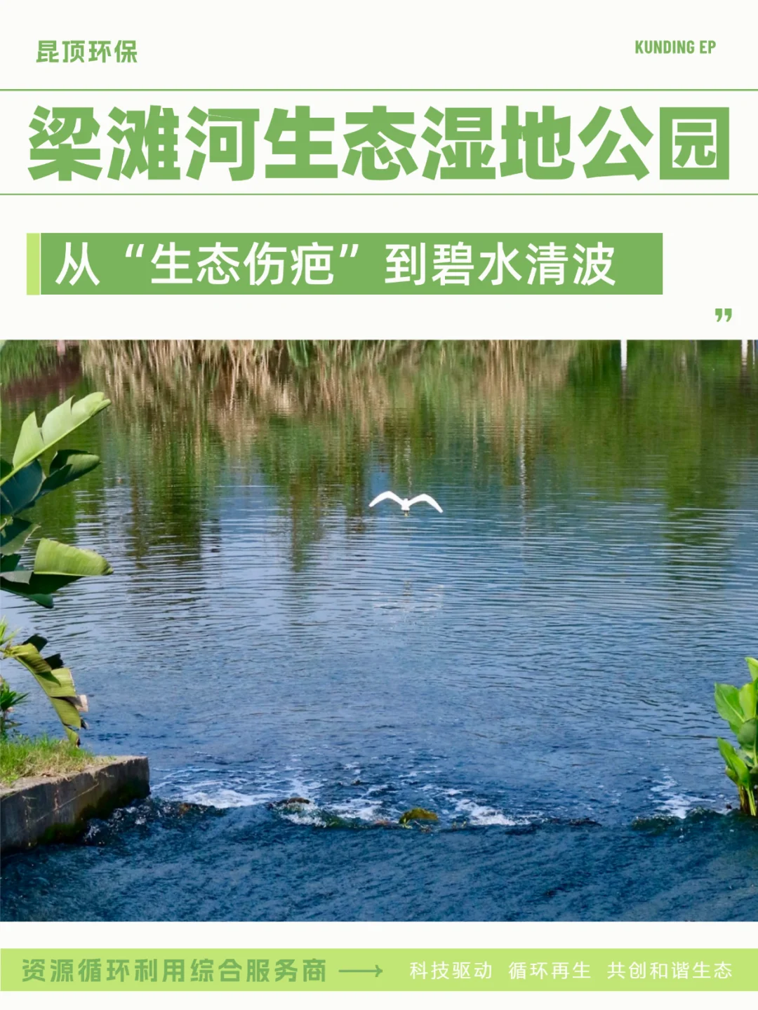 从生态伤疤到碧水清波 见证梁滩河重生