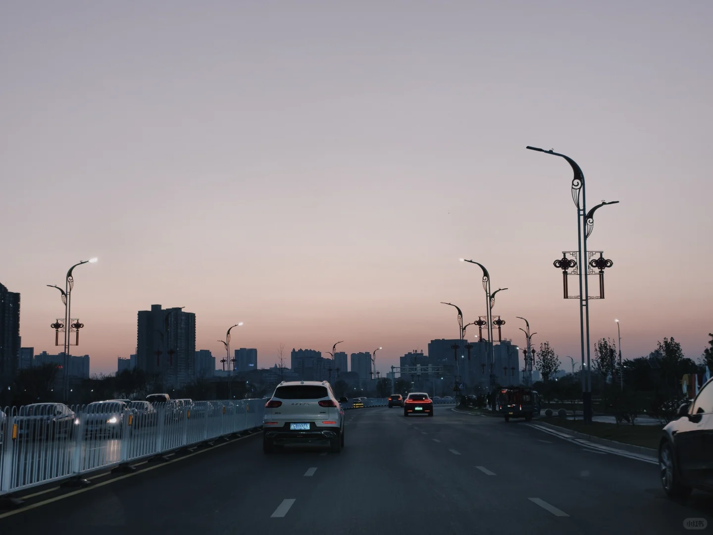 又是一年萝卜季