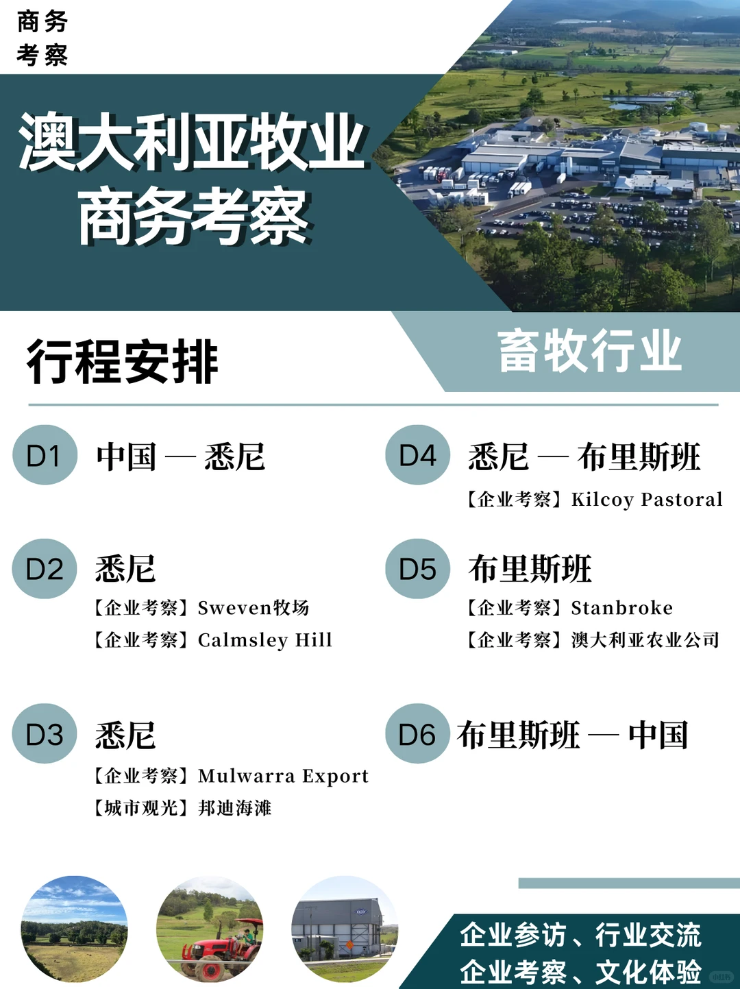 澳洲标杆牧業：百年传承与科技养殖融和