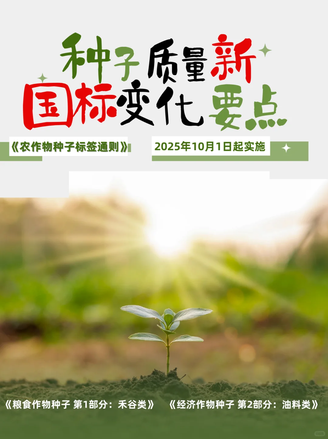 种子质量新国标变化要点速览