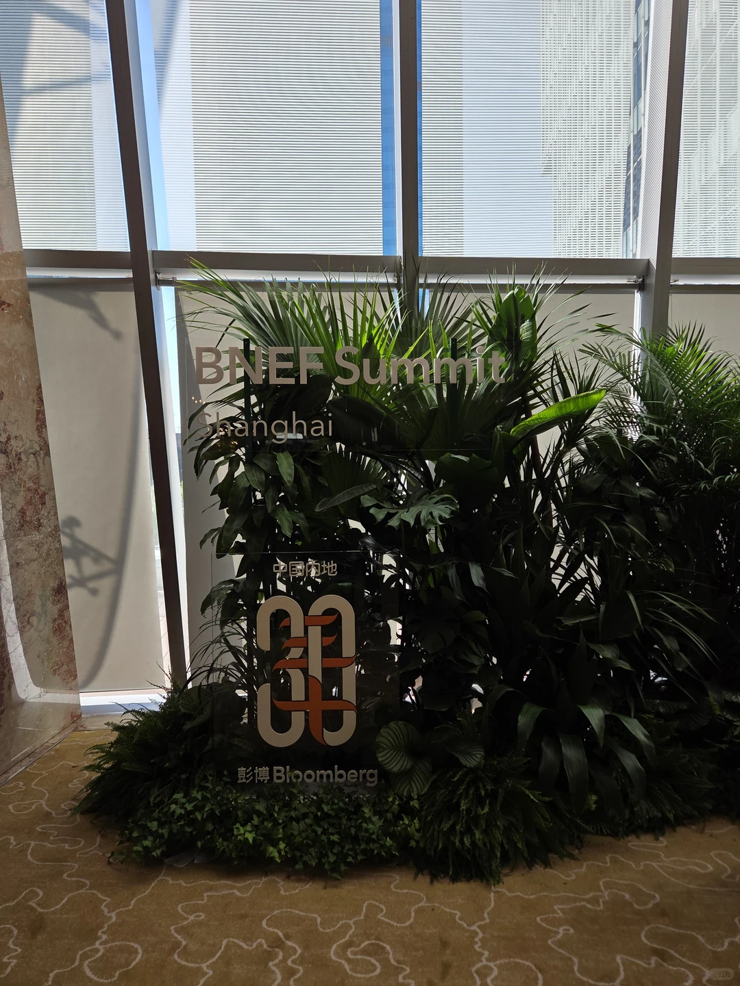 从BNEF上海峰会解读新能源行业动向