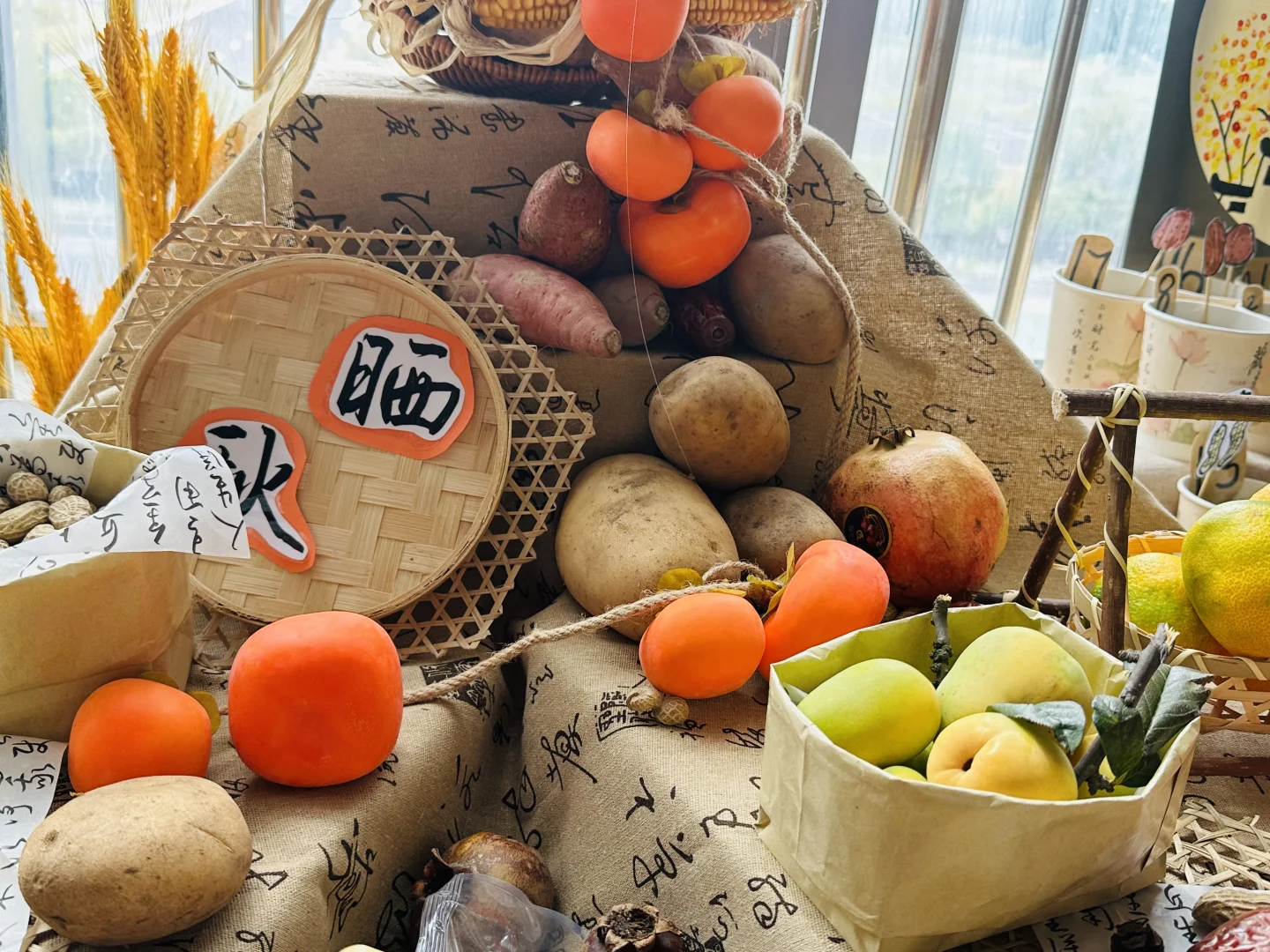 幼儿园秋季植物角——晒秋、秋收冬藏