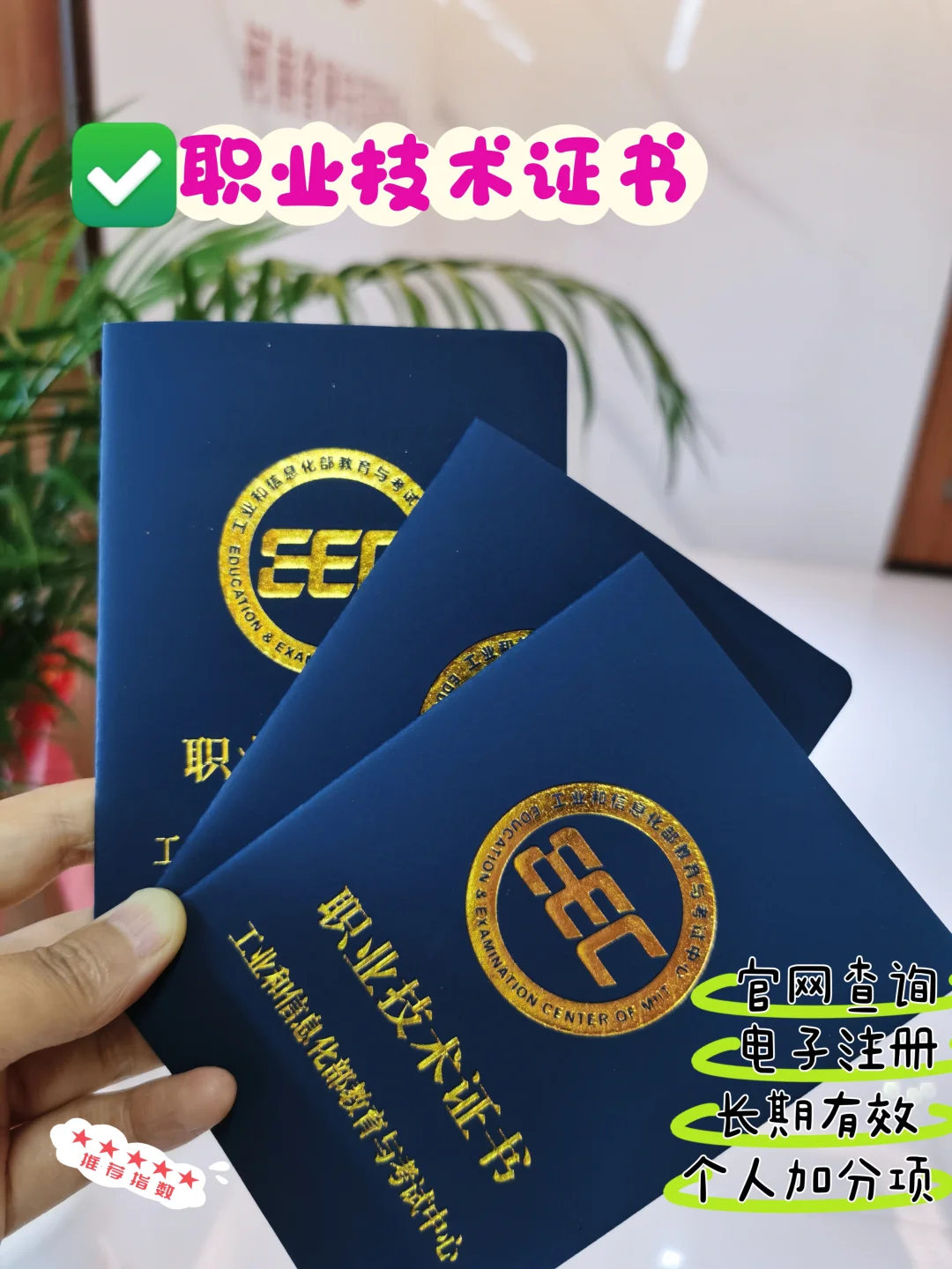 ?职业技术证书 下来了