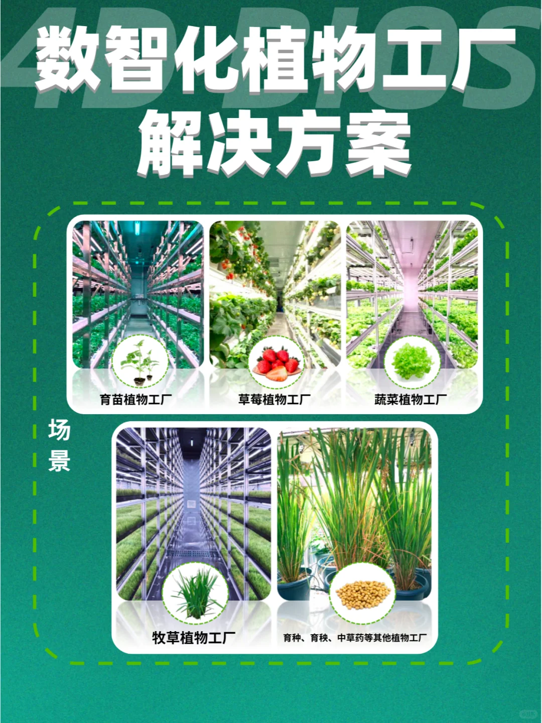 未来式农业，走进四维生态看看农业黑科技！