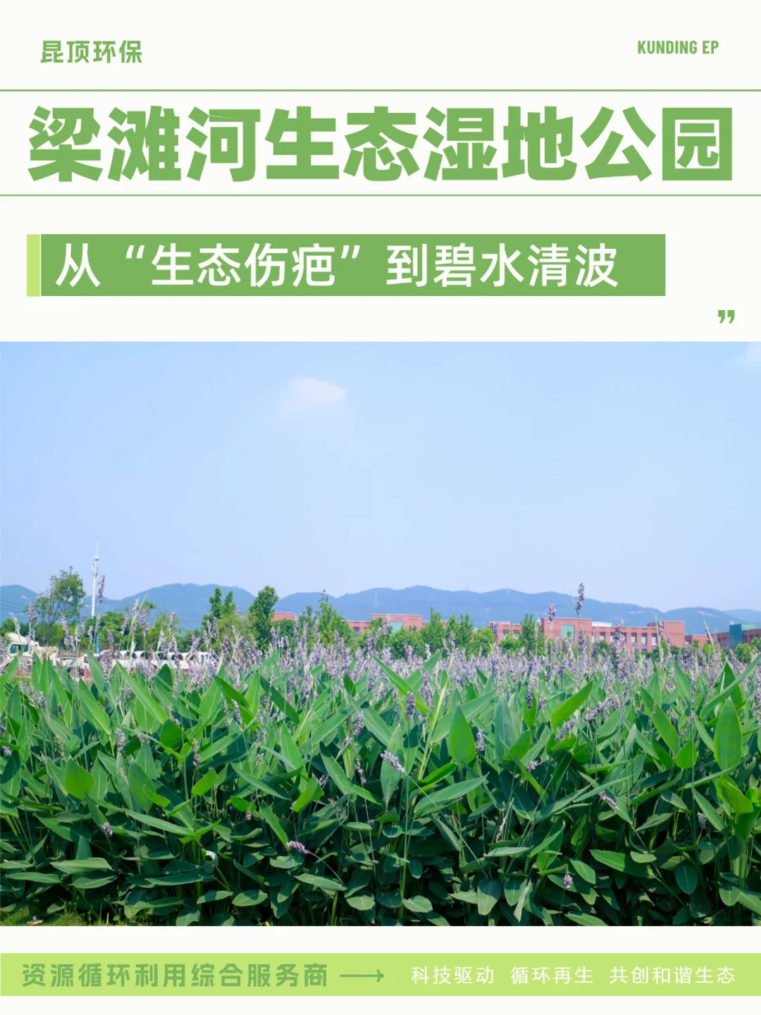 从生态伤疤到碧水清波 见证梁滩河重生