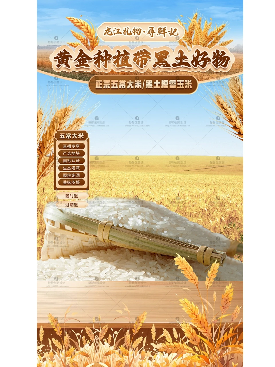 粮食油大米小米直播间背景图 绿幕素材