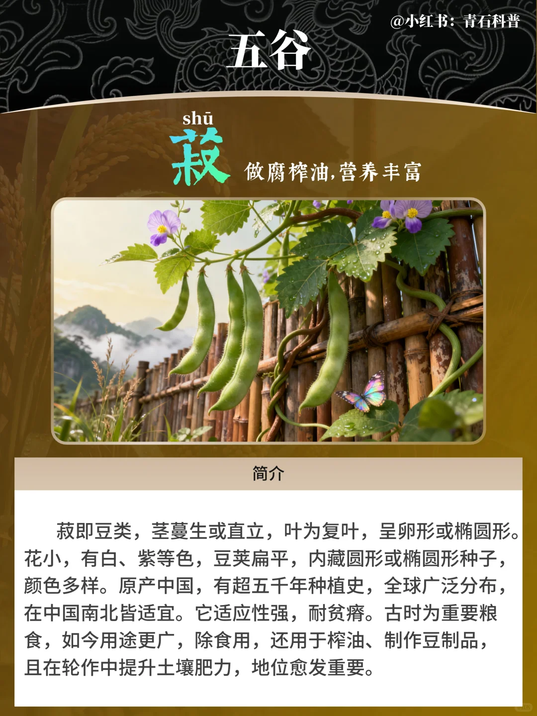 五谷，都包含哪五谷？