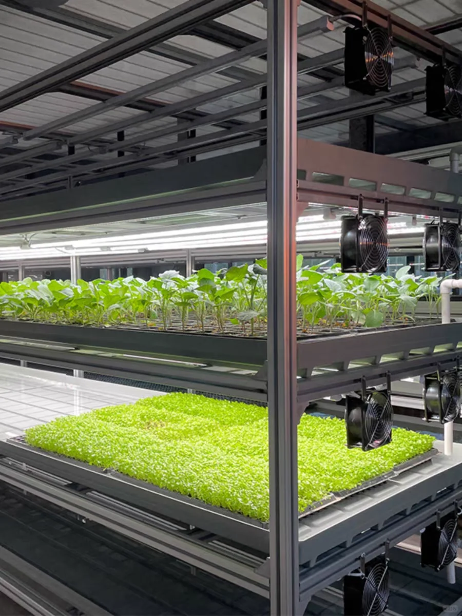 植物工厂——新型农业生产模式