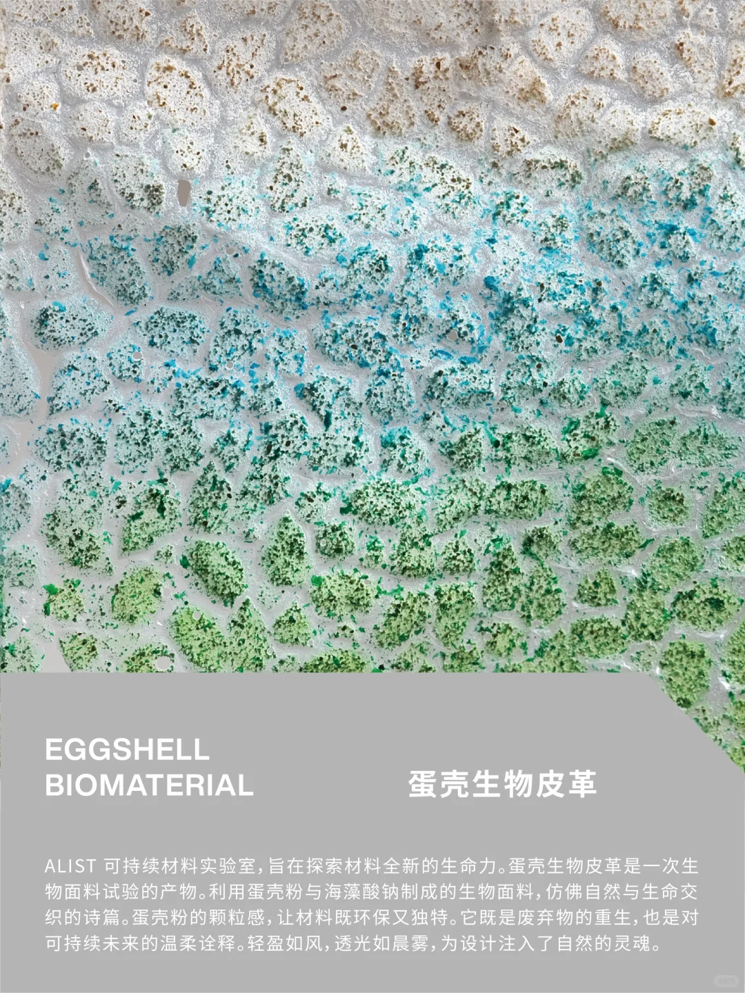 A-LIST｜材料实验室Vol.2 蛋壳生物皮革