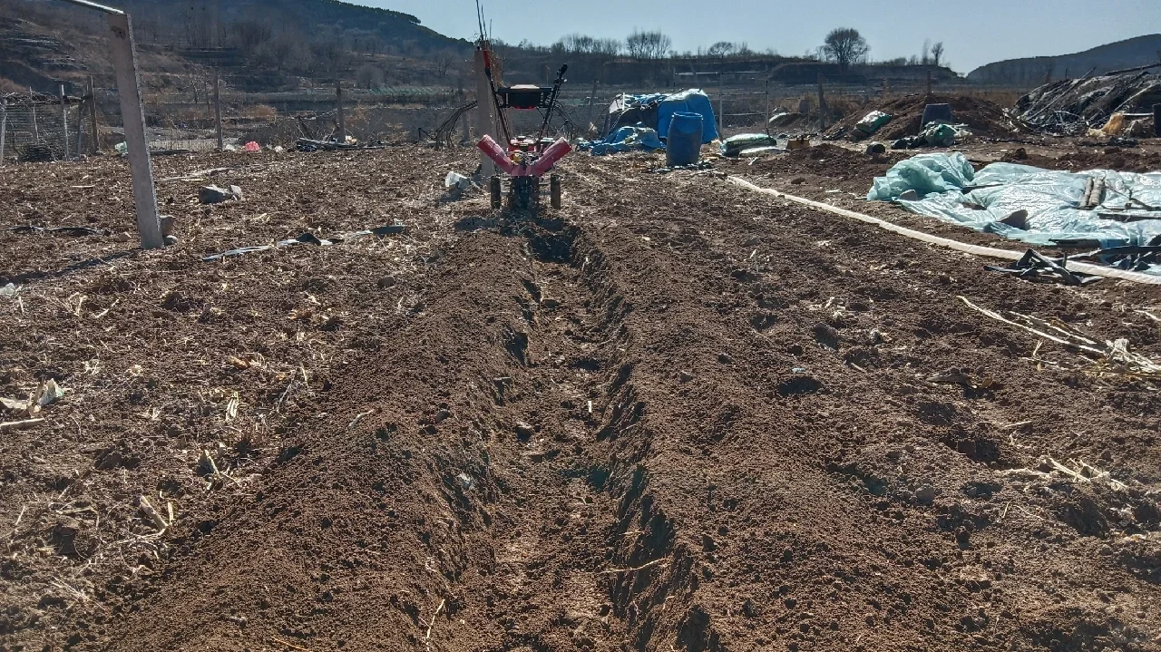 山东淄博微耕机厂家专业为您提供更好农机