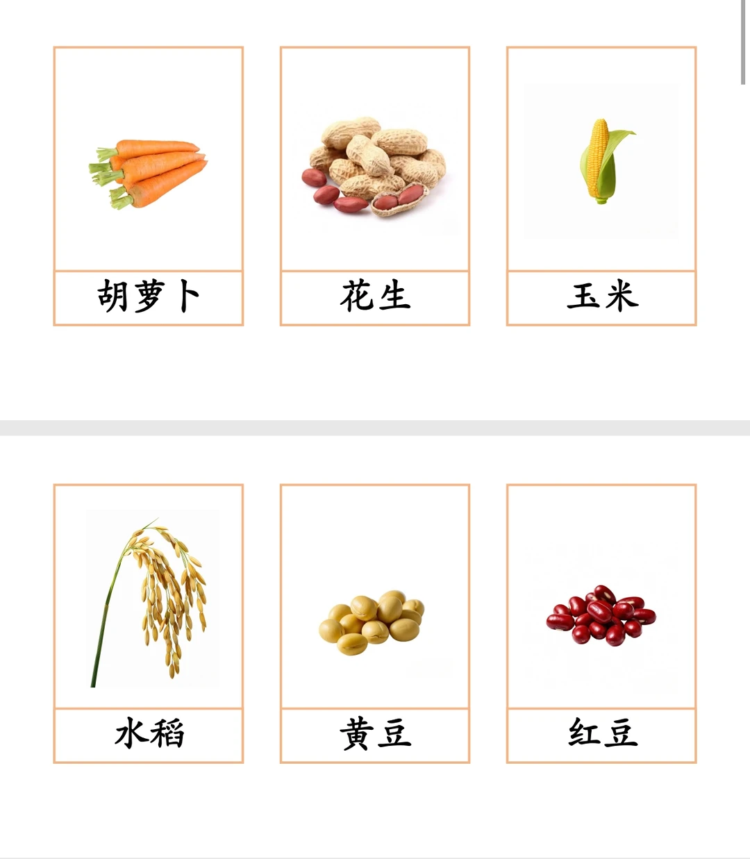 三段卡—秋天的农作物