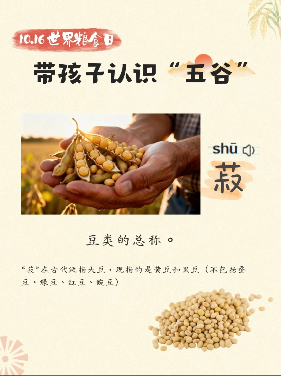 带孩子认识“五谷”