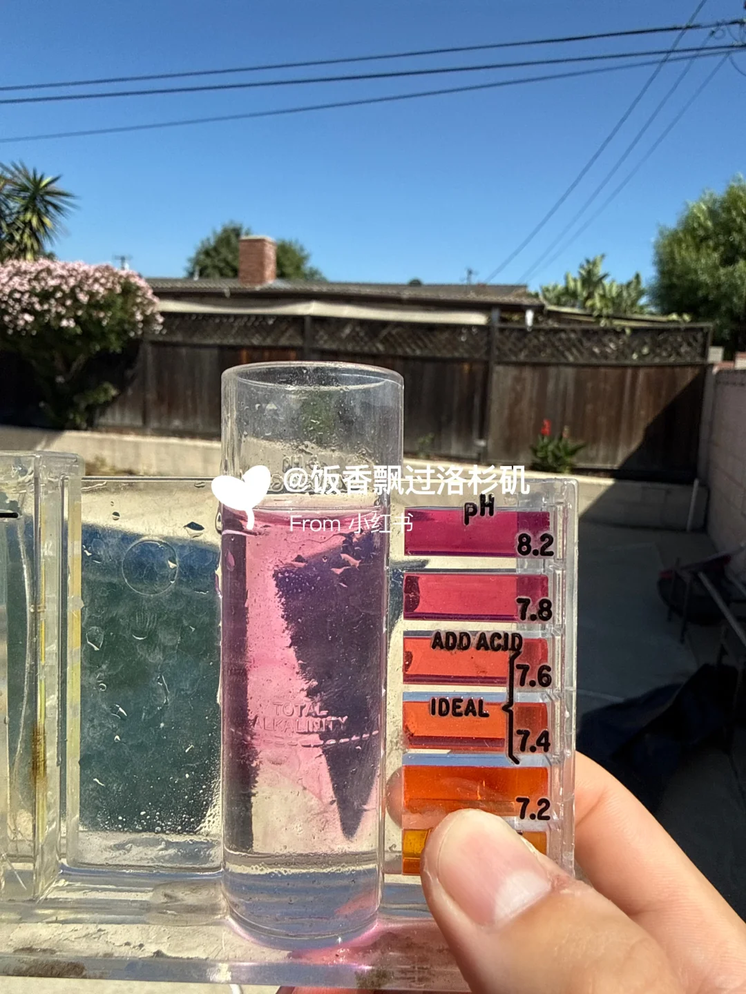 48小时泳池救活记|新手也能搞定绿汤水