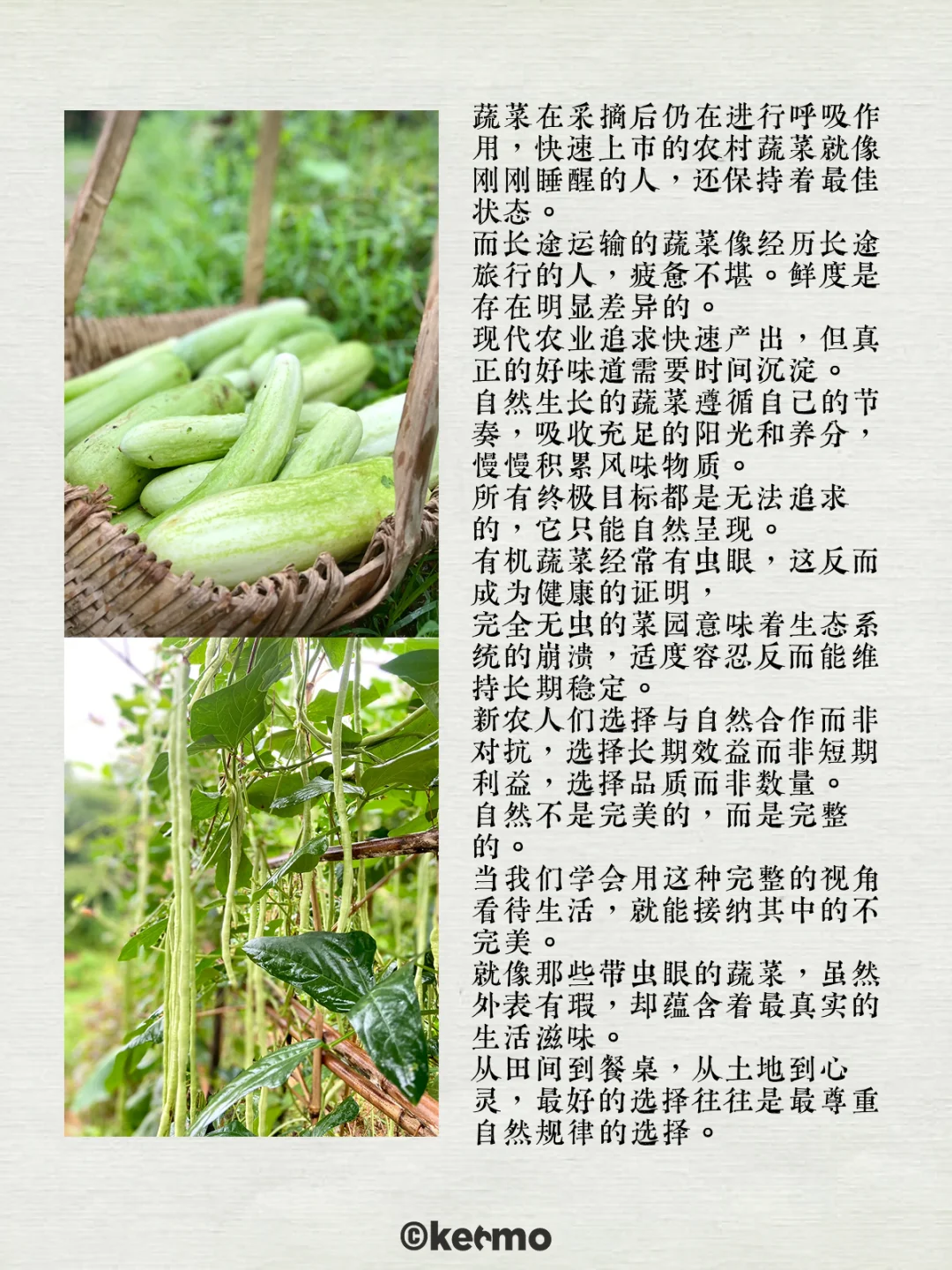 科默田间新系列-为什么农村菜更鲜？