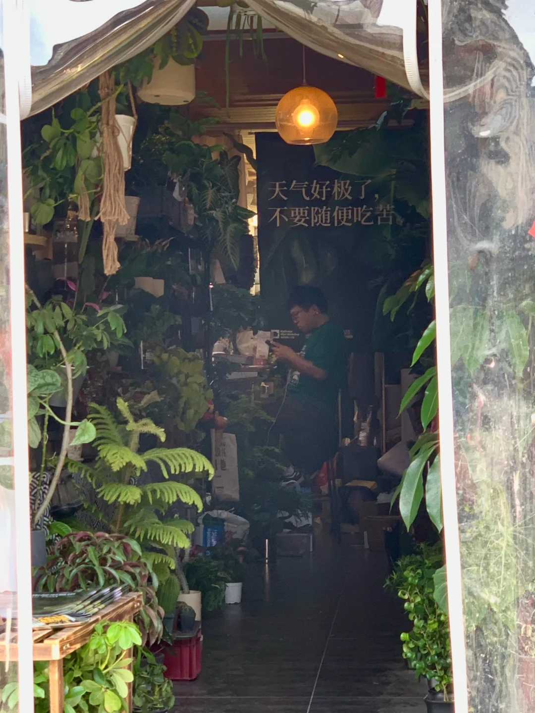 政府采购7️⃣种方式区分(详细版)